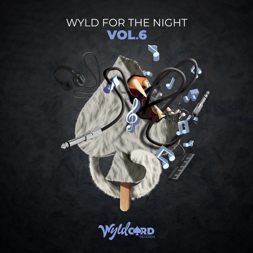 VA - Wyld For The Night Vol.6 [WYLD144MB]